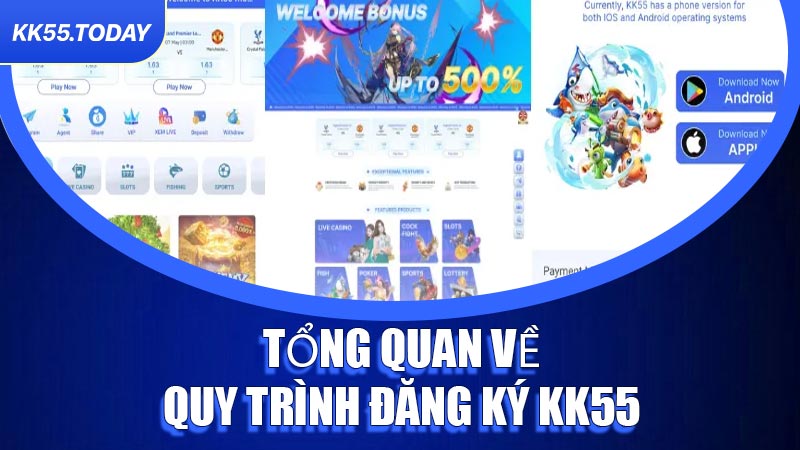 Tổng quan về quy trình Đăng Ký KK55